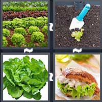 4 Pics 1 Word level 18-3 7 Letters