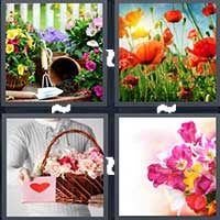 4 Pics 1 Word level 18-11 7 Letters
