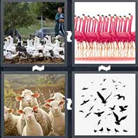 4 Pics 1 Word level 24-12 5 Letters