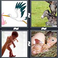 4 Pics 1 Word level 24-14 5 Letters