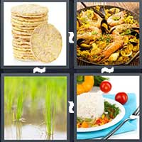 4 Pics 1 Word level 24-14 4 Letters
