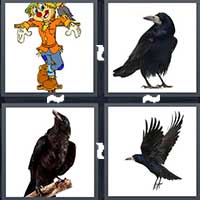4 Pics 1 Word level 25-5 4 Letters