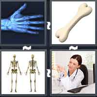 4 Pics 1 Word level 26-5 4 Letters