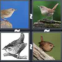 4 Pics 1 Word level 26-7 4 Letters