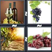 4 Pics 1 Word level 25-6 5 Letters