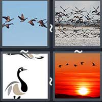4 Pics 1 Word level 25-7 5 Letters