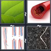 4 Pics 1 Word level 26-13 4 Letters