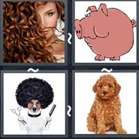 4 Pics 1 Word level 26-5 5 Letters
