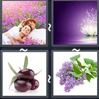 4 Pics 1 Word level 23-12 6 Letters