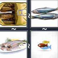 4 Pics 1 Word level 22-12 7 Letters