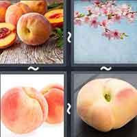 4 Pics 1 Word level 31-10 5 Letters