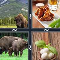 4 Pics 1 Word level 26-1 7 Letters