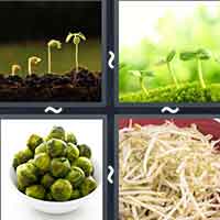 4 Pics 1 Word level 26-2 7 Letters