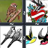 4 Pics 1 Word level 26-5 7 Letters