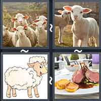 4 Pics 1 Word level 31-12 4 Letters
