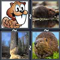 4 Pics 1 Word level 33-12 6 Letters