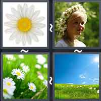 4 Pics 1 Word level 36-1 5 Letters