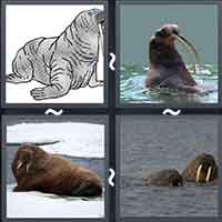 4 Pics 1 Word level 34-1 6 Letters