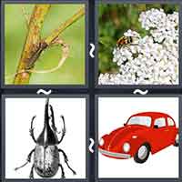 4 Pics 1 Word level 34-5 6 Letters