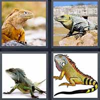 4 Pics 1 Word level 35-13 6 Letters
