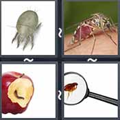 4 Pics 1 Word level 20-2 8 Letters