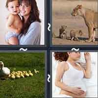 4 Pics 1 Word level 36-4 6 Letters