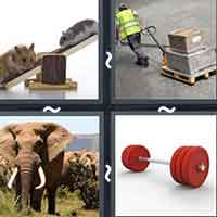 4 Pics 1 Word level 38-11 5 Letters
