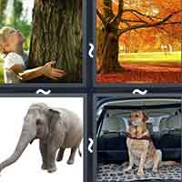 4 Pics 1 Word level 38-15 5 Letters