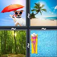 4 Pics 1 Word level 36-13 6 Letters