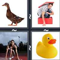 4 Pics 1 Word level 36-2 4 Letters