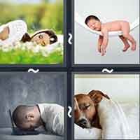 4 Pics 1 Word level 40-14 5 Letters