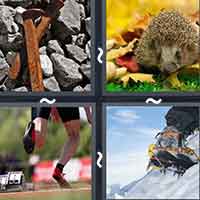 4 Pics 1 Word level 38-13 6 Letters