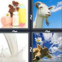 4 Pics 1 Word level 41-7 4 Letters