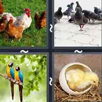 4 Pics 1 Word level 41-10 4 Letters