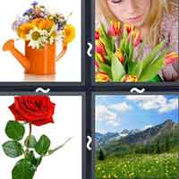 4 Pics 1 Word level 41-9 6 Letters