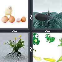 4 Pics 1 Word level 41-12 6 Letters