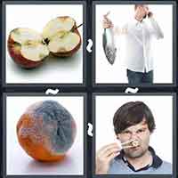 4 Pics 1 Word level 43-10 6 Letters
