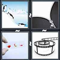4 Pics 1 Word level 48-7 5 Letters