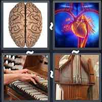 4 Pics 1 Word level 49-11 5 Letters