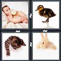 4 Pics 1 Word level 45-1 4 Letters