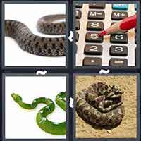 4 Pics 1 Word level 53-3 5 Letters