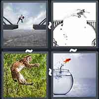 4 Pics 1 Word level 40-5 7 Letters