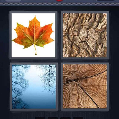 4 pics 1 word 5 letters level 1379